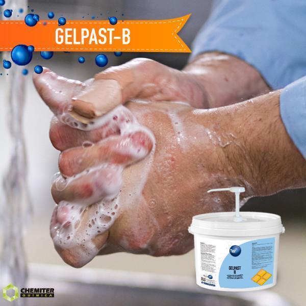 GELPAST-B