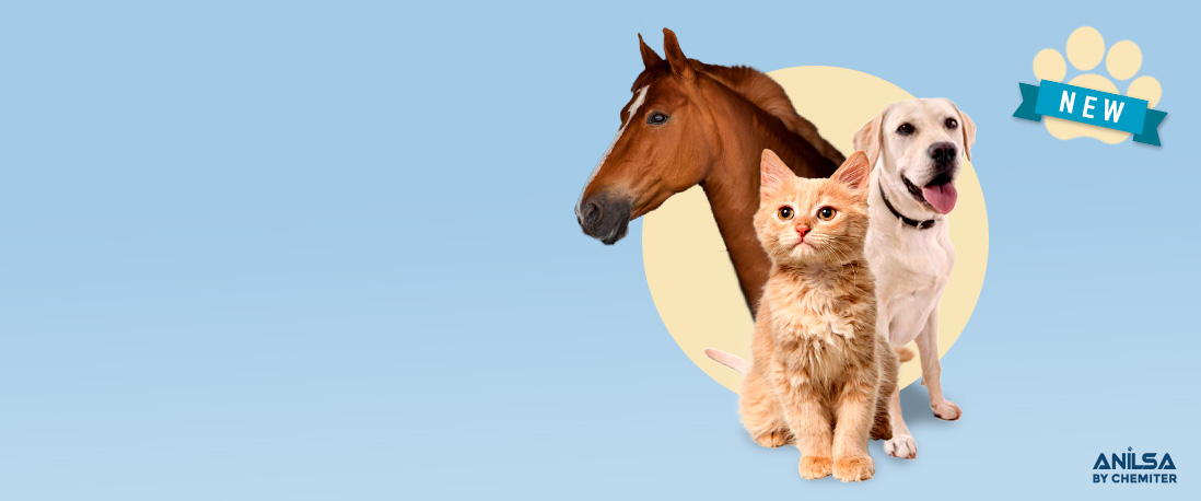 NEW LINE FOR PETS: